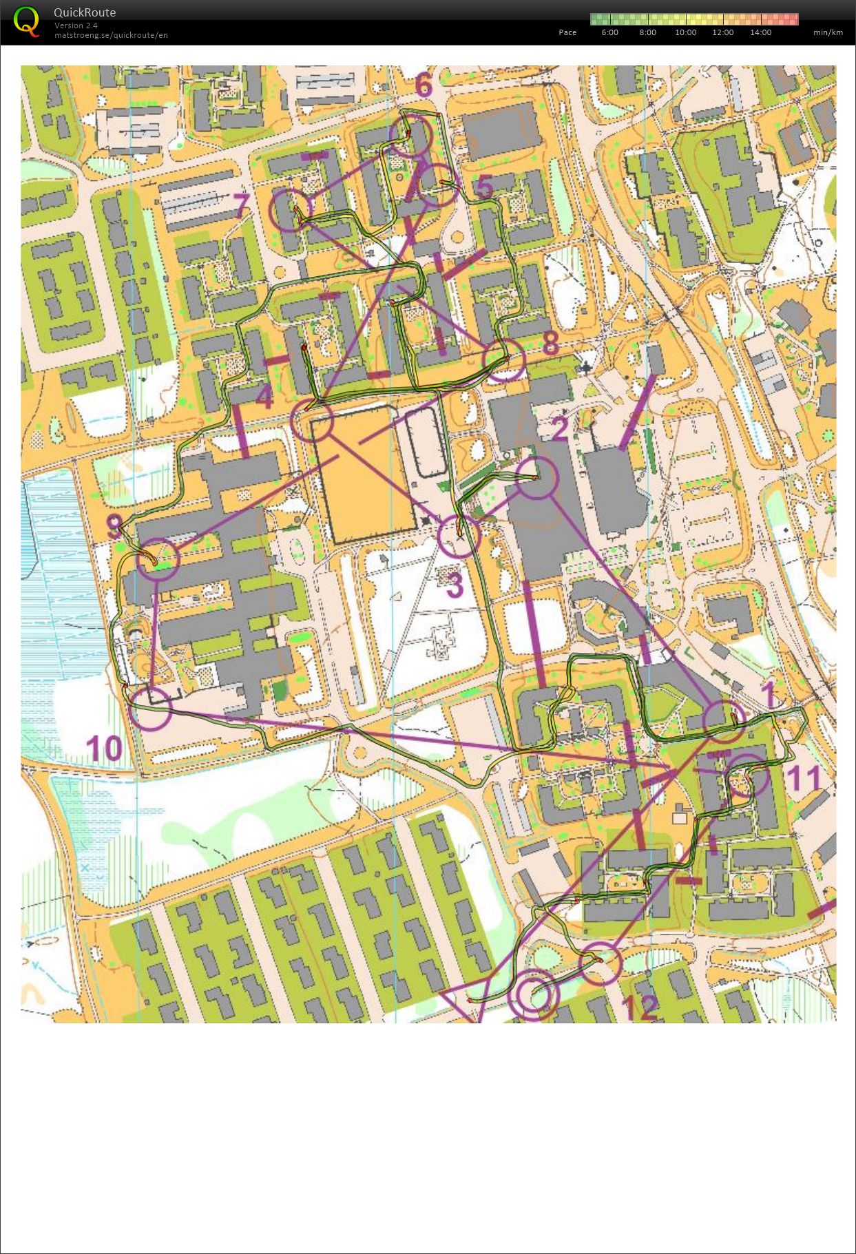 Sprint Björkskatan (24/11/2024)